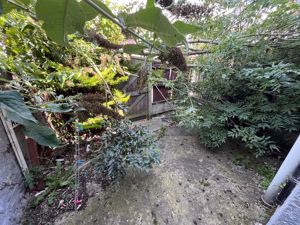 Photo 4- click for photo gallery